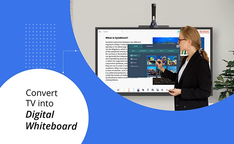 TutorPlus Portable Interactive Panel