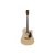 Proel DT AG1CE Darestone Electro Acoustic Guitars